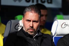 QPR head coach Marti Cifuentes.