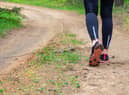8 best walking shoes for women