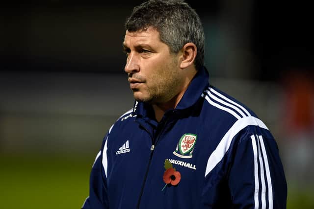 Former Wales coach Osian Roberts is on Patrick Vieira’s coaching staff at Crystal Palace. Credit Clint Hughes/Getty Images