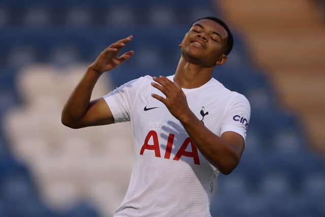 Dane Scarlett of Tottenham Hotspur (Photo by Paul Harding/Getty Images)