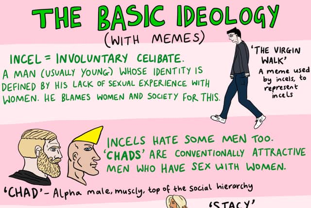 Lily’s brilliant cartoons on incels. Credit: Vulgar Drawings