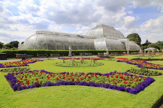 Kew Gardens has set a world record for having the most living plants at a single-site botanic garden.