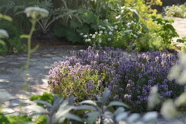  A stunning garden designed by Alexandra Noble. Credit: Anna Skorupska