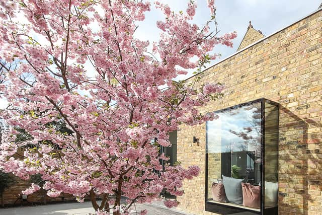 Arnaud Mortimer’s stunning patio design, called Home Exposure, in a courtyard in Ealing. Credit: Arnaud Mortimer