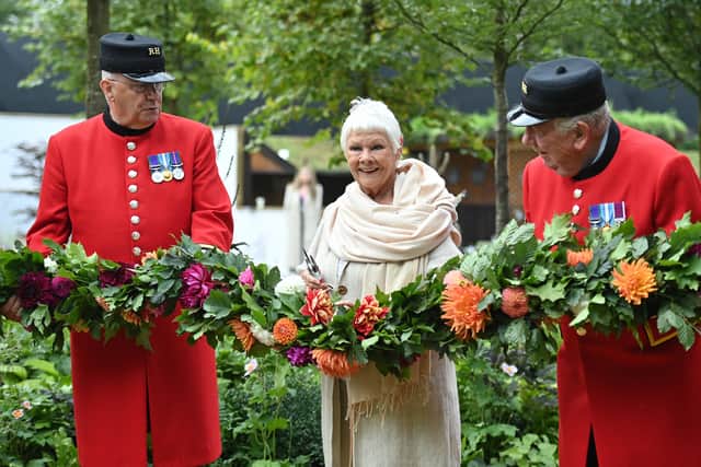 Judi Dench reacts as she stands with Chelsea pensioners to open the Queen’s Garden display during the 2021 RHS Chelsea Flower Show. Credit: JUSTIN TALLIS/AFP via Getty Images