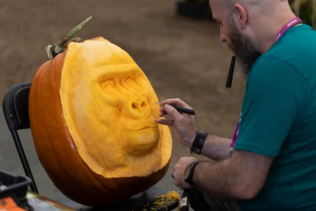 A man carves a gorilla’s face into a pumpkin on the ‘All Carved Out’ stand on Chelsea Flower Show’s press day. Credit: Getty Images
