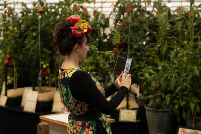 A woman wearing a Tomato inspired hat photographs her stand on Chelsea Flower Show’s press day. Credit: Dan Kitwood/Getty Images