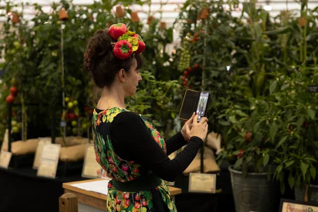 A woman wearing a Tomato inspired hat photographs her stand on Chelsea Flower Show’s press day. Credit: Dan Kitwood/Getty Images
