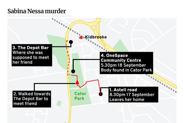 Sabina Nessa murder graphic. Credit: JPI Media