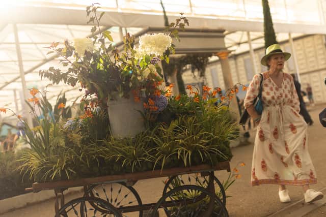 The RHS Chelsea Flower Show is currently on. Credit: Dan Kitwood/Getty Images