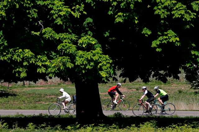 Pro-cyclist Alexander Richardson was targeted by a machete-wielding gang in Richmond Park, which is popular with cyclists. Credit: ADRIAN DENNIS/AFP via Getty Images