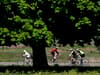 Richmond Park: Alpecin-Fenix pro-cyclist has bike robbed by machete-wielding motorbike gang in balaclavas