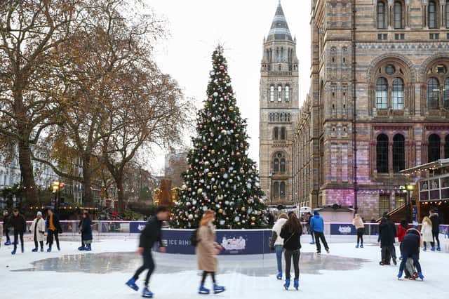 Ice skating at the Natural History Museum. Photo by Hollie Adams/Getty Images