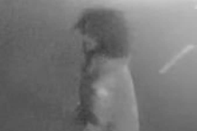 Anyone who recognises the men in these images to is asked to contact the Met Police