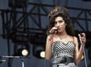 Singer Amy Winehouse performs in 2007. Credit: Roger Kisby/Getty Images