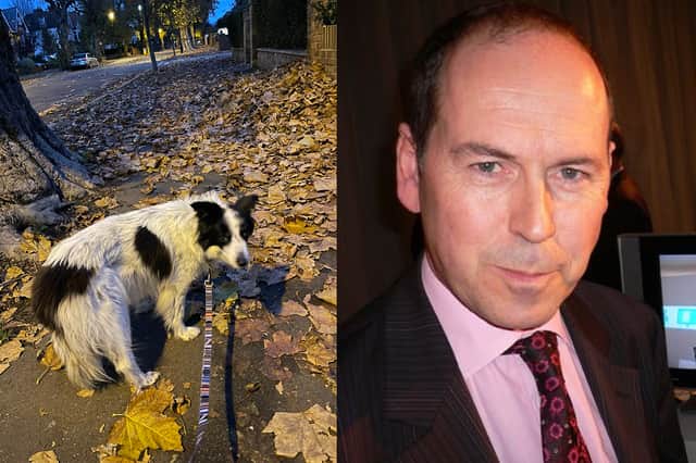 Rory Cellan-Jones’ dog Cabbage has been stolen. Credit: Rory Cellan Jones/Wikimedia Commons