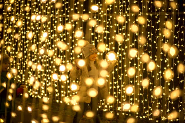 The Christmas lights at Kew Gardens. Credit: Jeff Eden