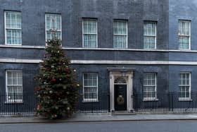 The No10 Downing Street Christmas tree. Photo: Shutterstock