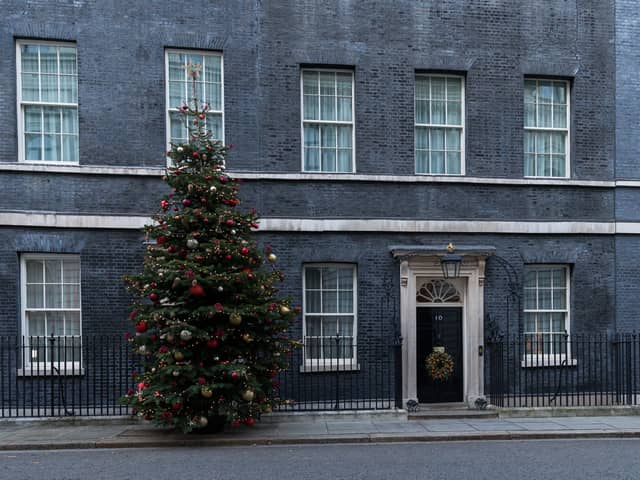 The No10 Downing Street Christmas tree. Photo: Shutterstock