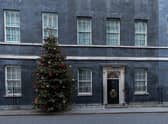 The No10 Downing Street Christmas tree. Photo: Shutterstock