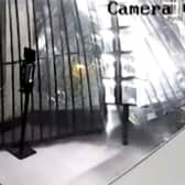 A ram raid gang who stole nearly half a million pounds of goods from London’s West End stores have been jailed. Credit: SWNS
