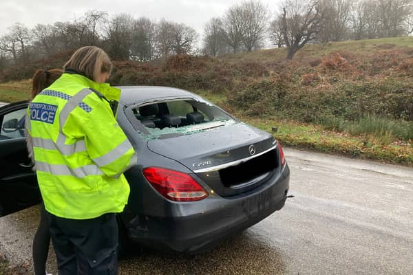 A cyclist was injured after crashing through the back window of a Mercedes when the driver slowed down to let geese cross a road in a London park. Photo: Royal Parks Police / SWNS