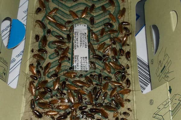 A north London kebab shop overrun by cockroaches and rats has been fined for endangering public health. Credit: Enfield Council / SWNS