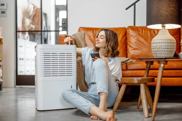 Best dehumidifiers to help keep your home warm and dry