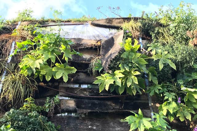 The state of the Marble Arch Mound before closure. Credit: Jacob Phillips