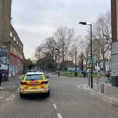 The crime scene at Holly Grove, next to Peckham Rye station, where a teen girl was raped by two masked men on Thursday night.