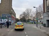 The crime scene at Holly Grove, next to Peckham Rye station, where a teen girl was raped by two masked men on Thursday night.