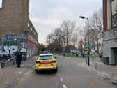 The crime scene at Holly Grove, next to Peckham Rye station, where a teen girl was raped by two masked men on Thursday night.