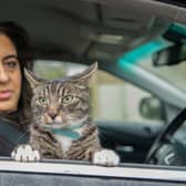Tahira Sawar with Mika the 2 year old cat that loves to go out on car rides. Credit: Tony Kershaw / SWNS
