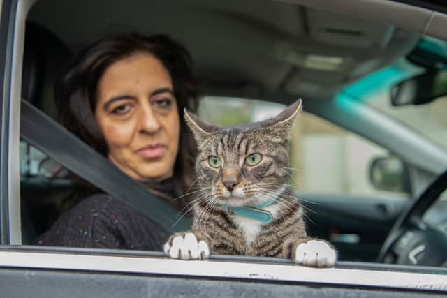 Tahira Sawar with Mika the 2 year old cat that loves to go out on car rides. Credit: Tony Kershaw / SWNS