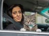 Paw patrol: Meet the Crouch End cat who loves to joy ride in his owner’s car