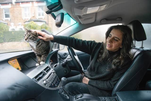 Meet the pet cat who is obsessed with cars - and demands to be taken for a drive so it can put its head out of the window. Credit: Tony Kershaw / SWNS