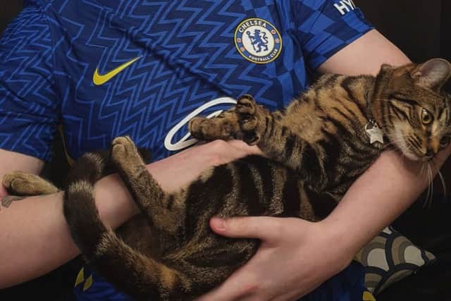 A cat owner and Kurt Zouma super fan has decided to rename his cat from Kurt to Burt - after the footballer went viral for abusing his pet cats. Credit: Ollie Hall / SWNS 