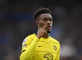 Callum Hudson-Odoi of Chelsea looks on during the Premier League match  (Photo by Michael Regan/Getty Images)
