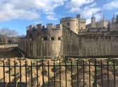 Works have begun on the Superbloom at the Tower of London. Photo: LondonWorld