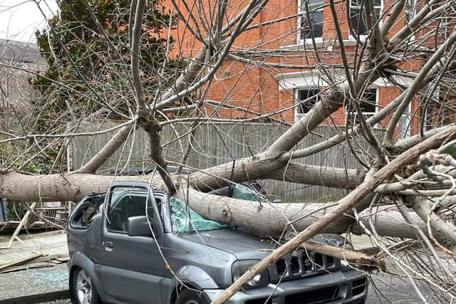 A car crushed under a fallen tree. Photo: @ComptonReeback1