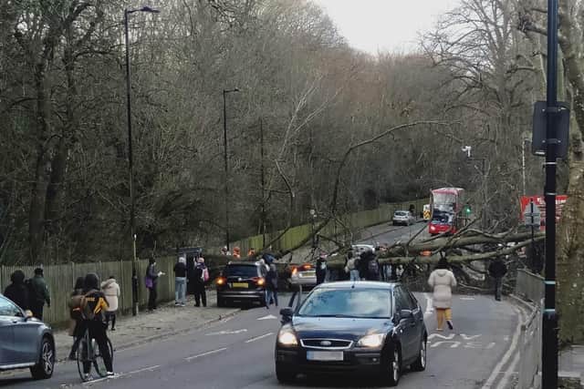 Police were called to Muswell Hill Road where a woman died earlier on Friday. Photo: Supplied