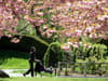 11 nice spring walks in London: best local springtime trails near me - from Hyde Park to Southbank