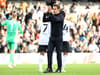 Fulham linked with new name as Marco Silva eyes new additions 