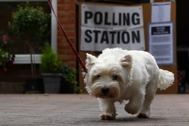 A dog outside a polling station in Croydon, south London. Photo: Getty