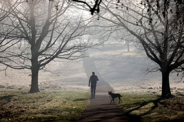 The Met Office is predicting icy frosts over the next few days. Credit: TOLGA AKMEN/AFP via Getty Images