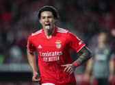 Spurs could look to sign Darwin Nunez this summer if Harry Kane leaves the club (A Bola). Credit: Getty. 