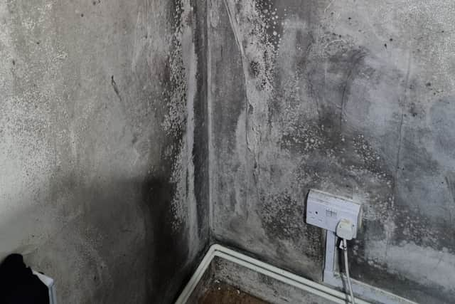 Black mould in Abiodun’s children’s bedroom. Photo: LondonWorld