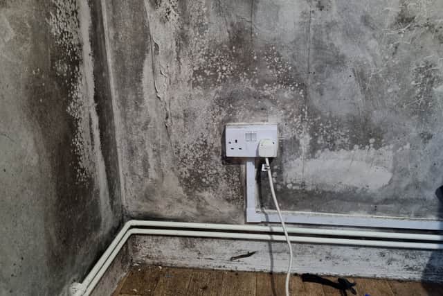 The mould in her daughters’ bedroom is so bad they can’t sleep in there. Photo: LondonWorld