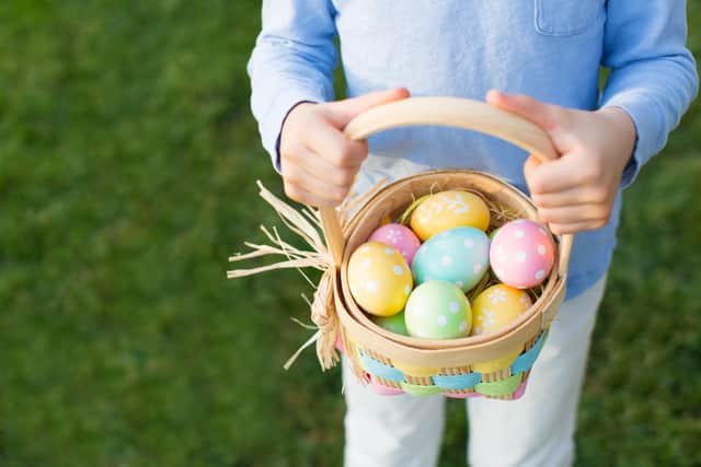 Easter egg hunt (Aleksei Potov  - Adobe Stock)