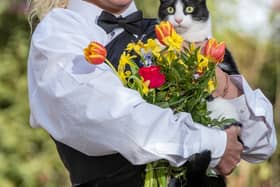 Deborah Hodge with her precious cat Indi. Credit: James Linsell-Clark / SWNS